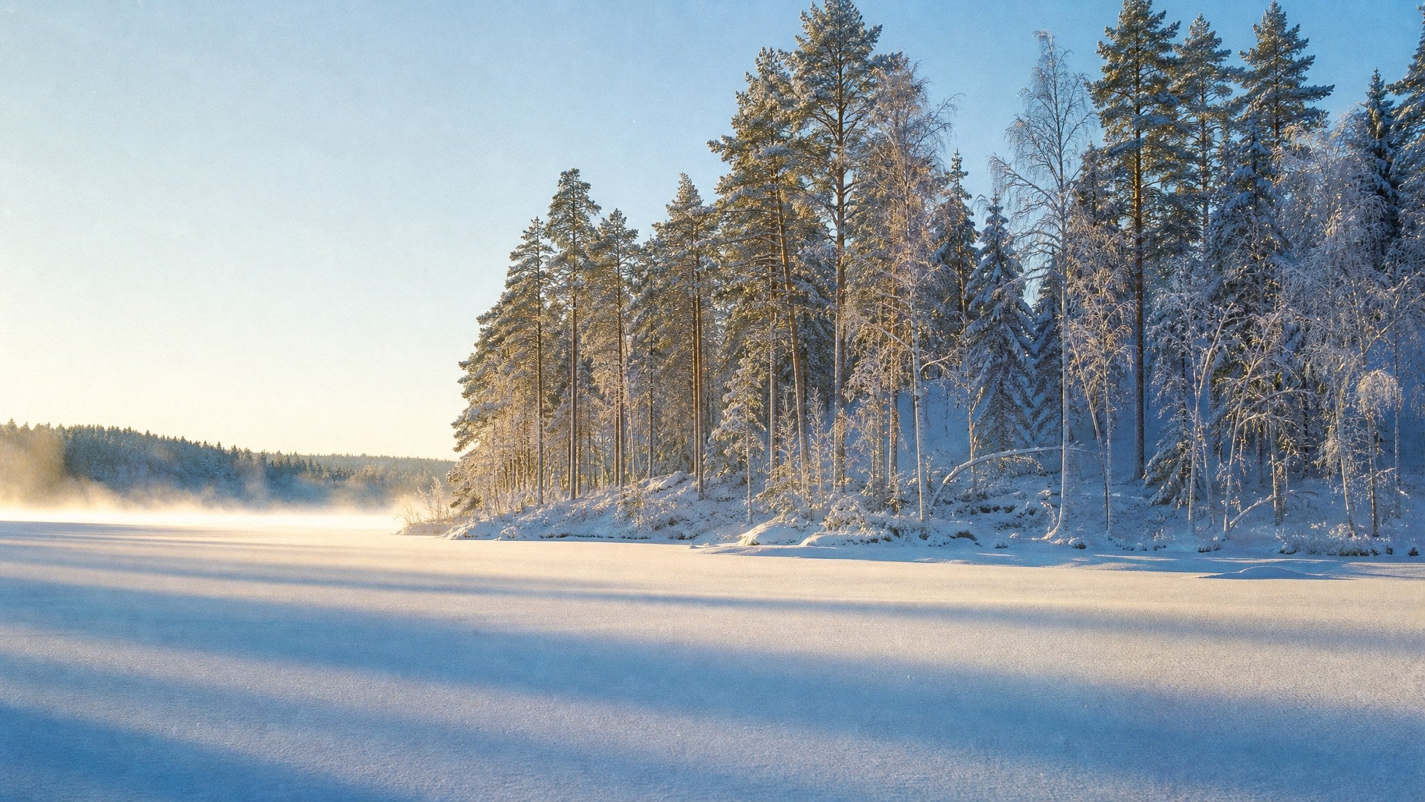 Snow-laden pines at the edge of a frozen lake in low winter sun
